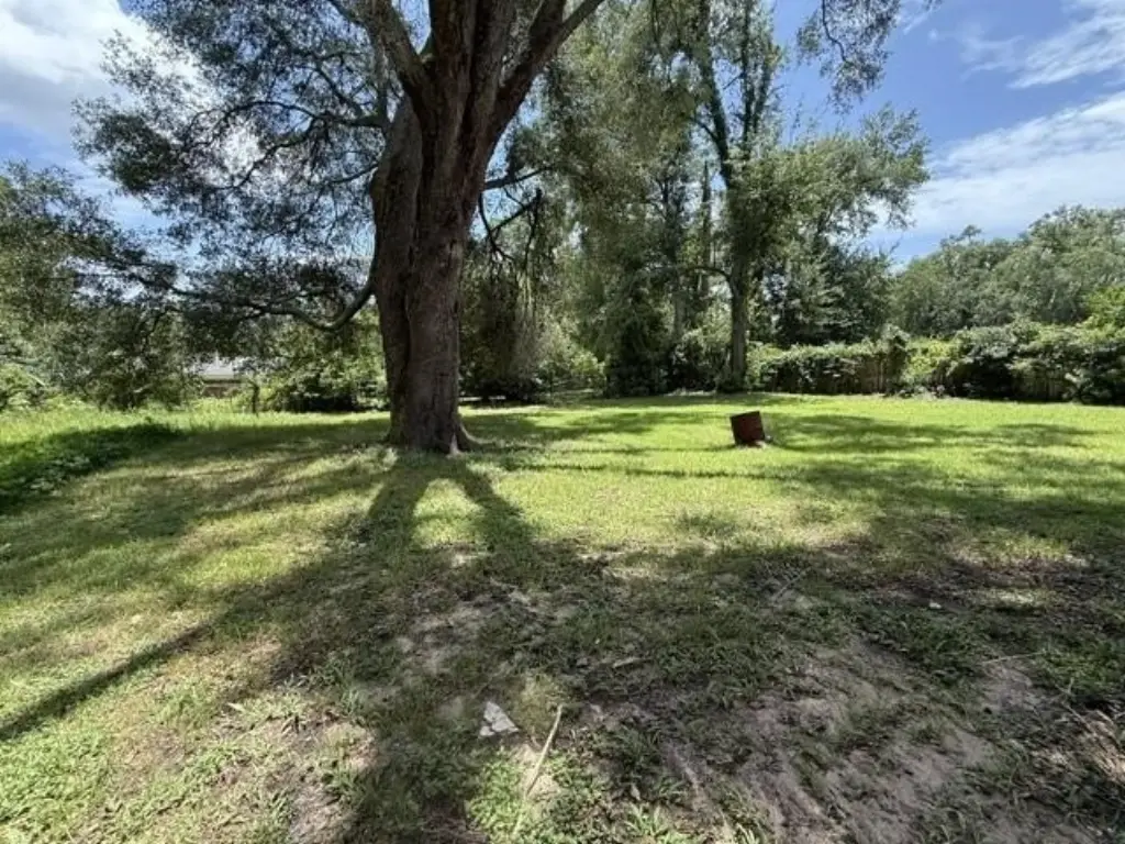 Picture 5