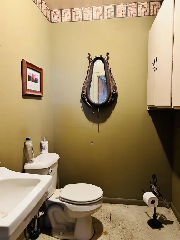 Picture 14