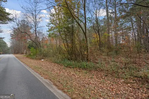 Acre Lot in Waco, GA
