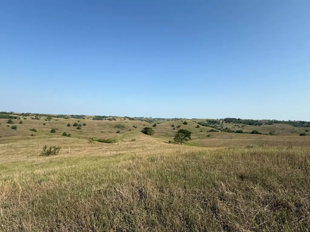 Picture 22