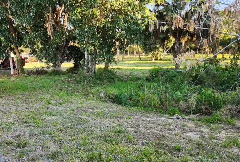 Land Facing Florida State Preserve