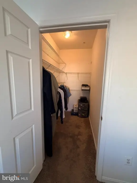 Picture 36