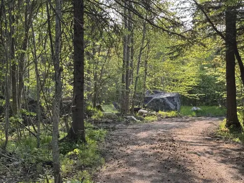 Wooded Land Near Grand Marais