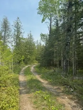 Hessel, MI Hunting Land Parcel