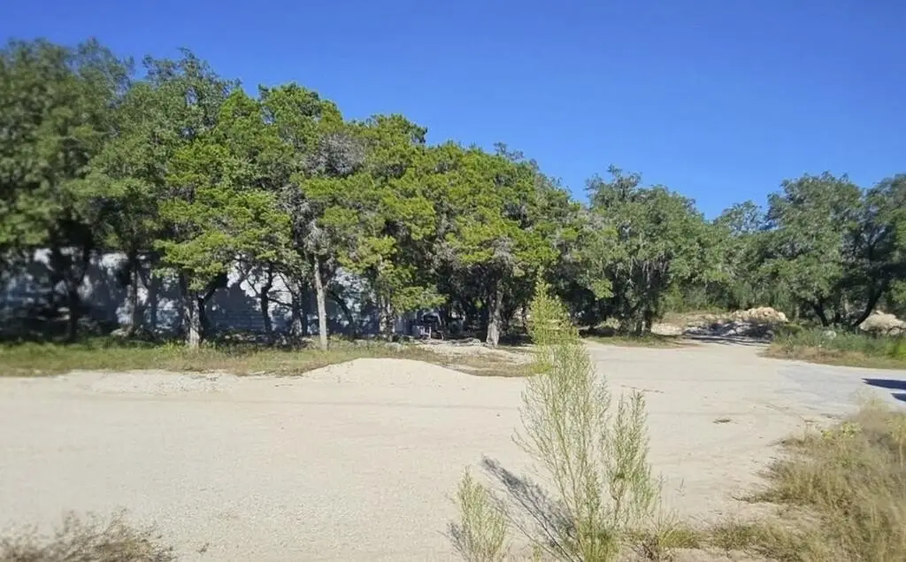 Picture 5