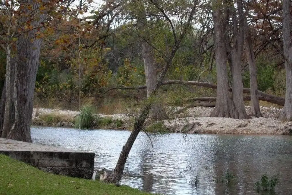 Picture 25