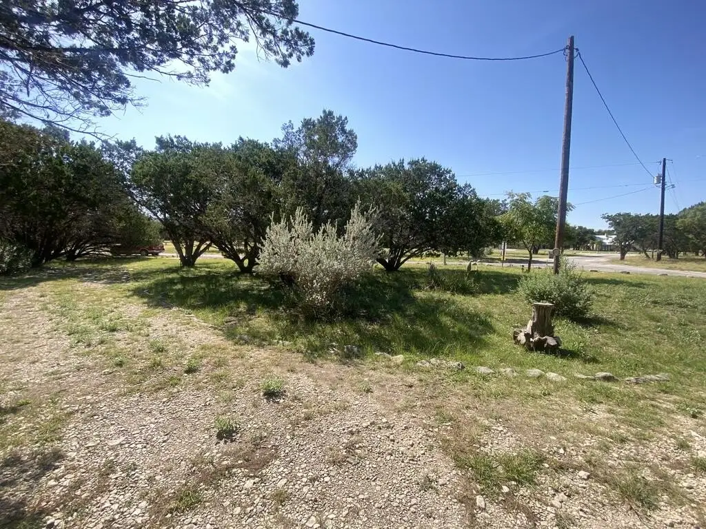 Picture 19