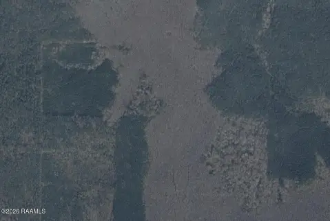 Wooded Land Near Cocodrie Lake