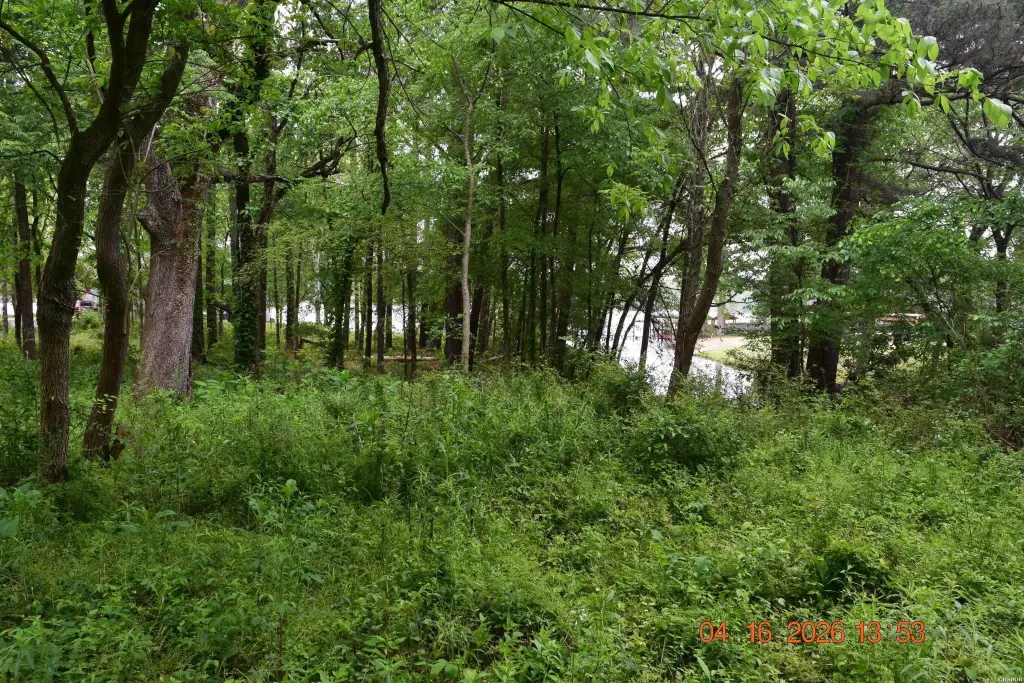 Picture 8