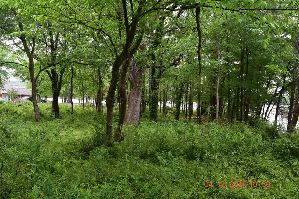 Picture 10