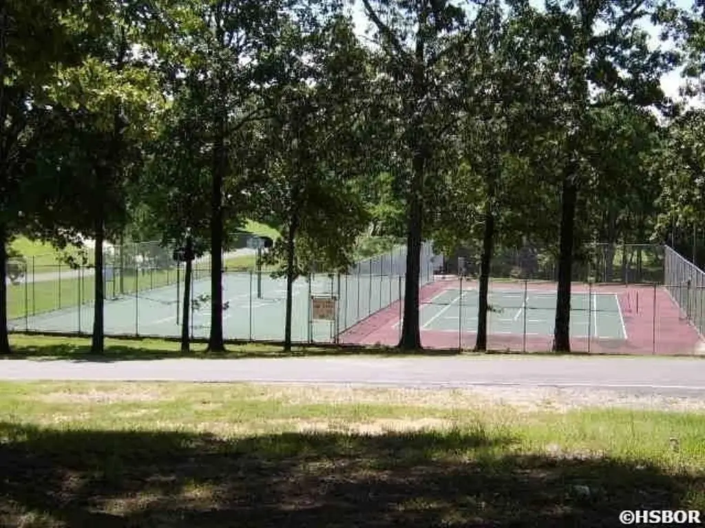 Picture 5