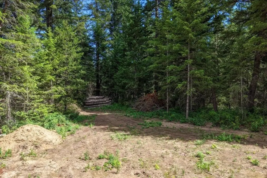 Picture 7