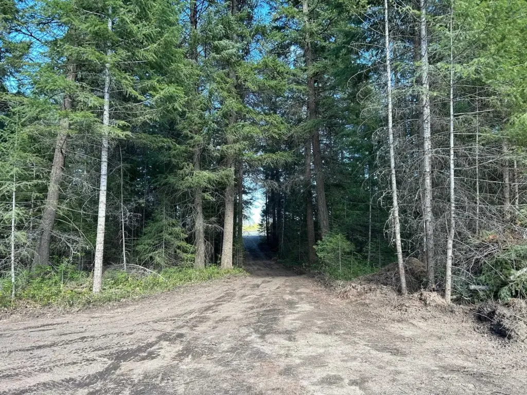 Picture 24
