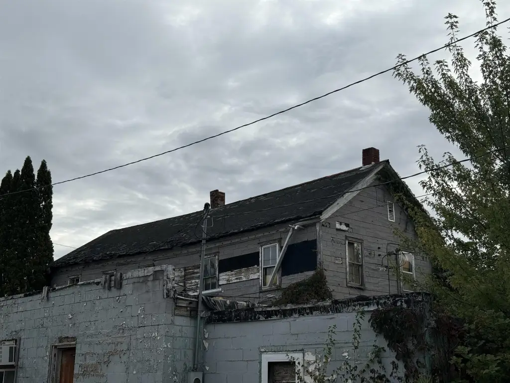 Picture 25
