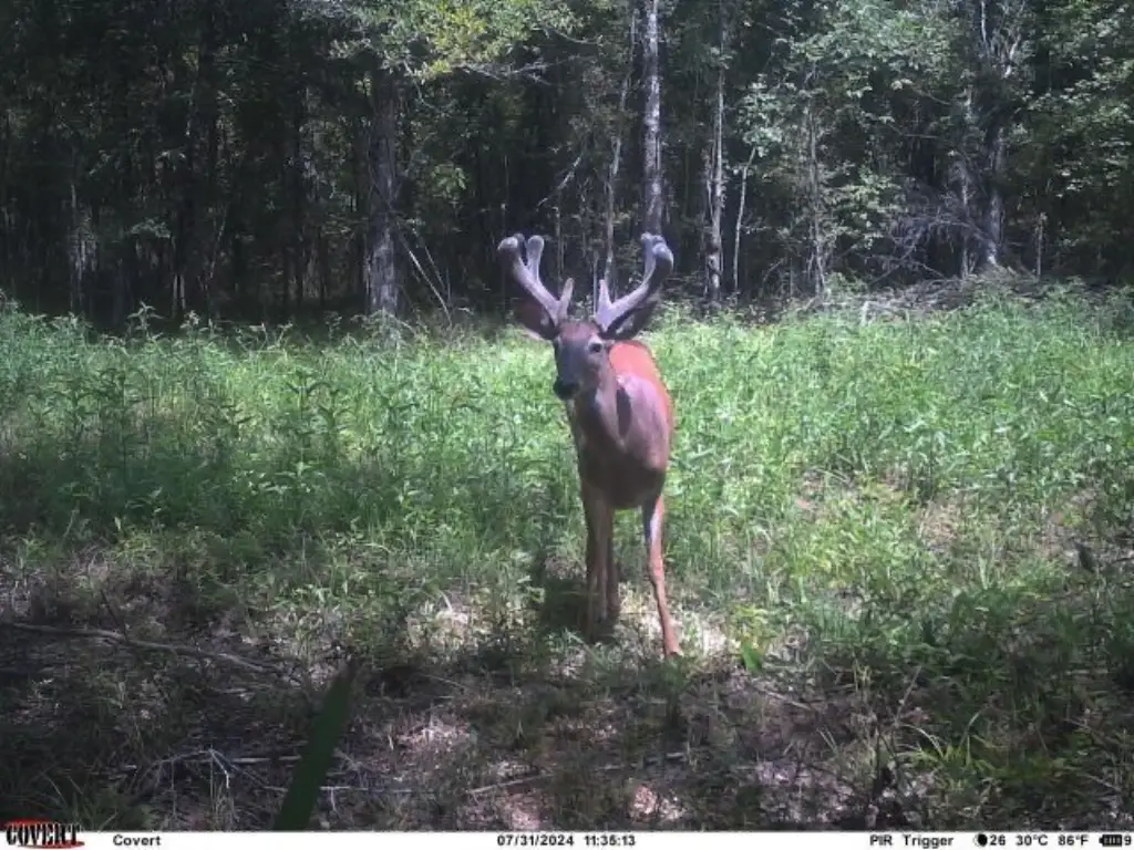 Picture 49