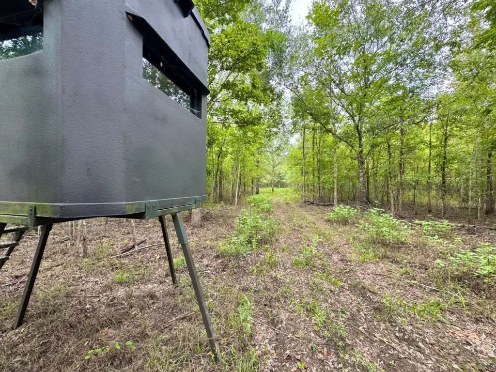 Picture 19