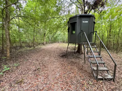 Managed Hunting Land with Food Plots