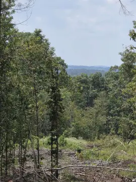 37.52 Acres in Mt. Enterprise