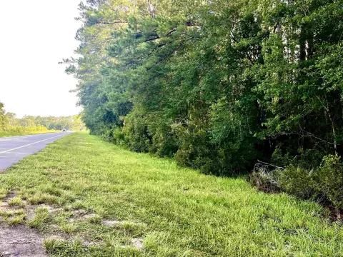 Aucilla River Hunting Land