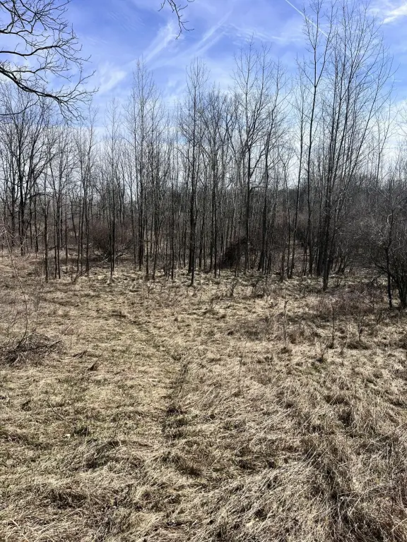 Picture 8