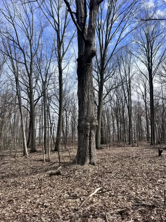 Picture 25