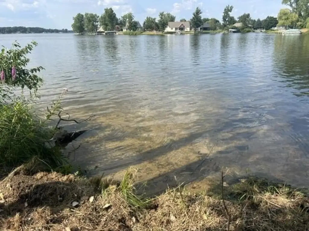 Picture 2