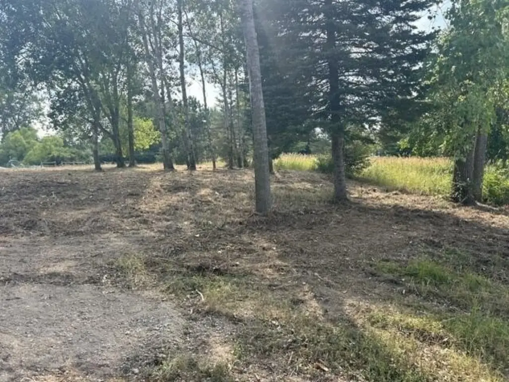 Picture 4