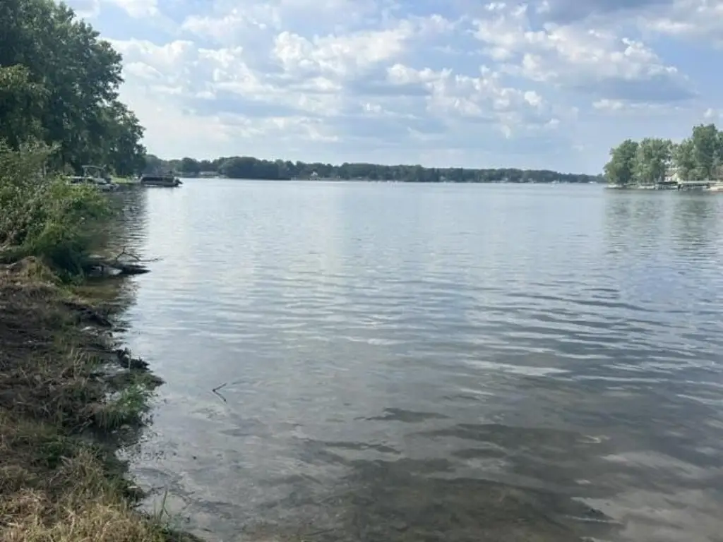 Picture 5