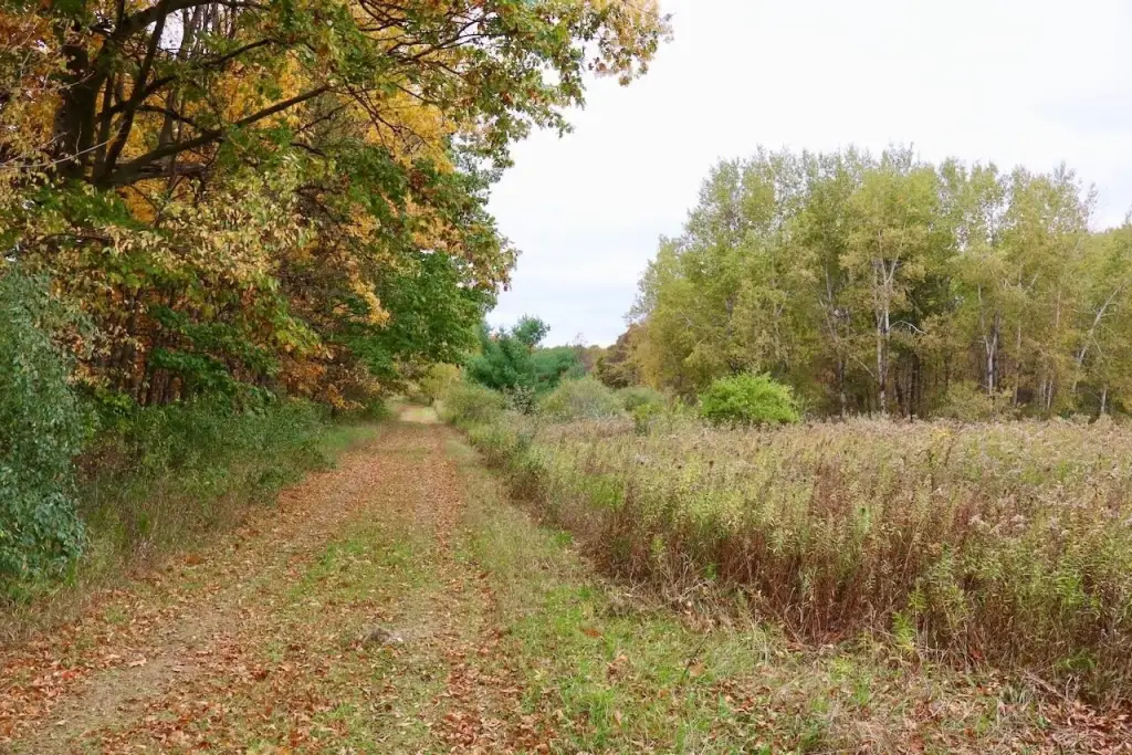Picture 36