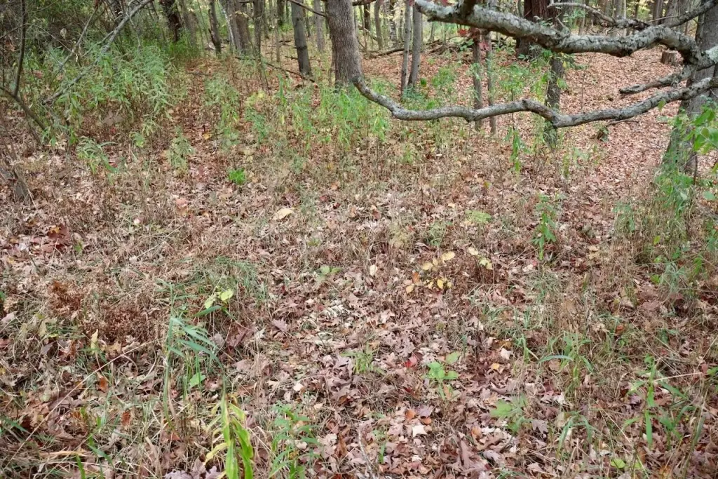 Picture 38