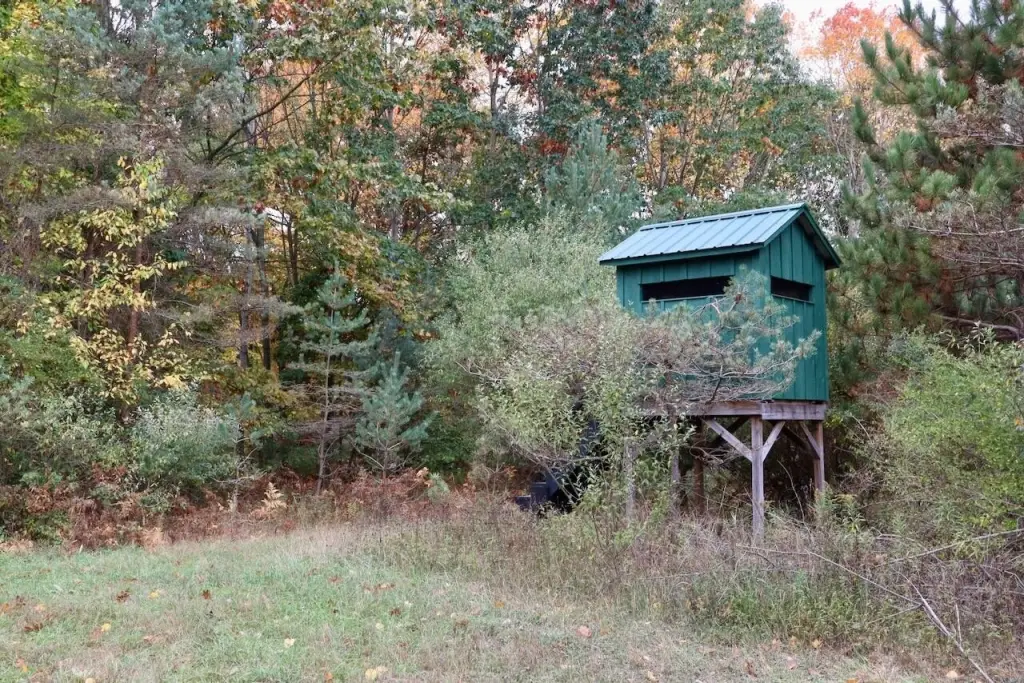 Picture 32