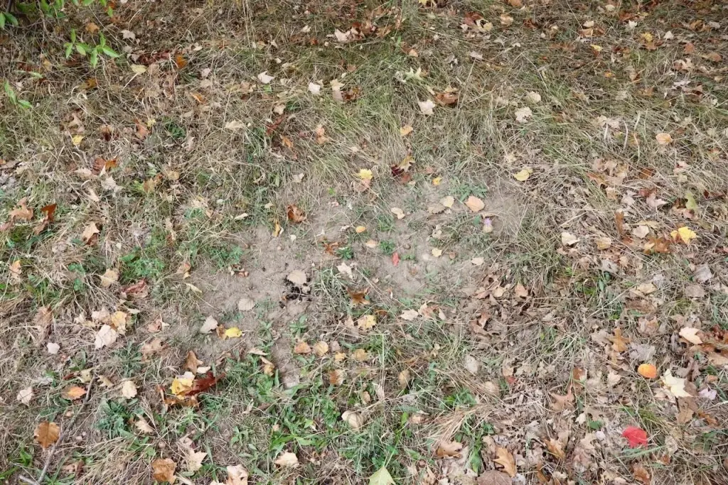 Picture 14