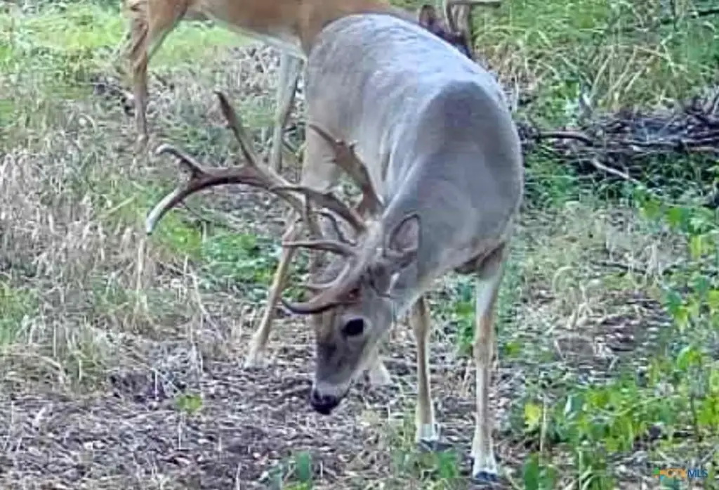Picture 30
