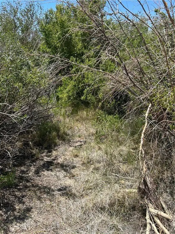 Picture 16