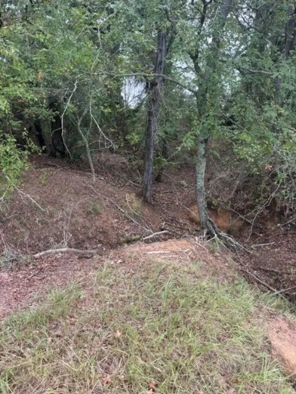 Picture 15