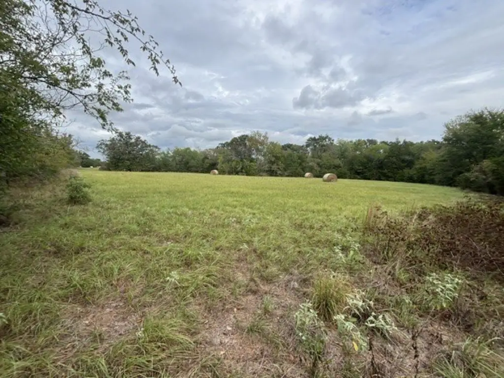 Picture 16