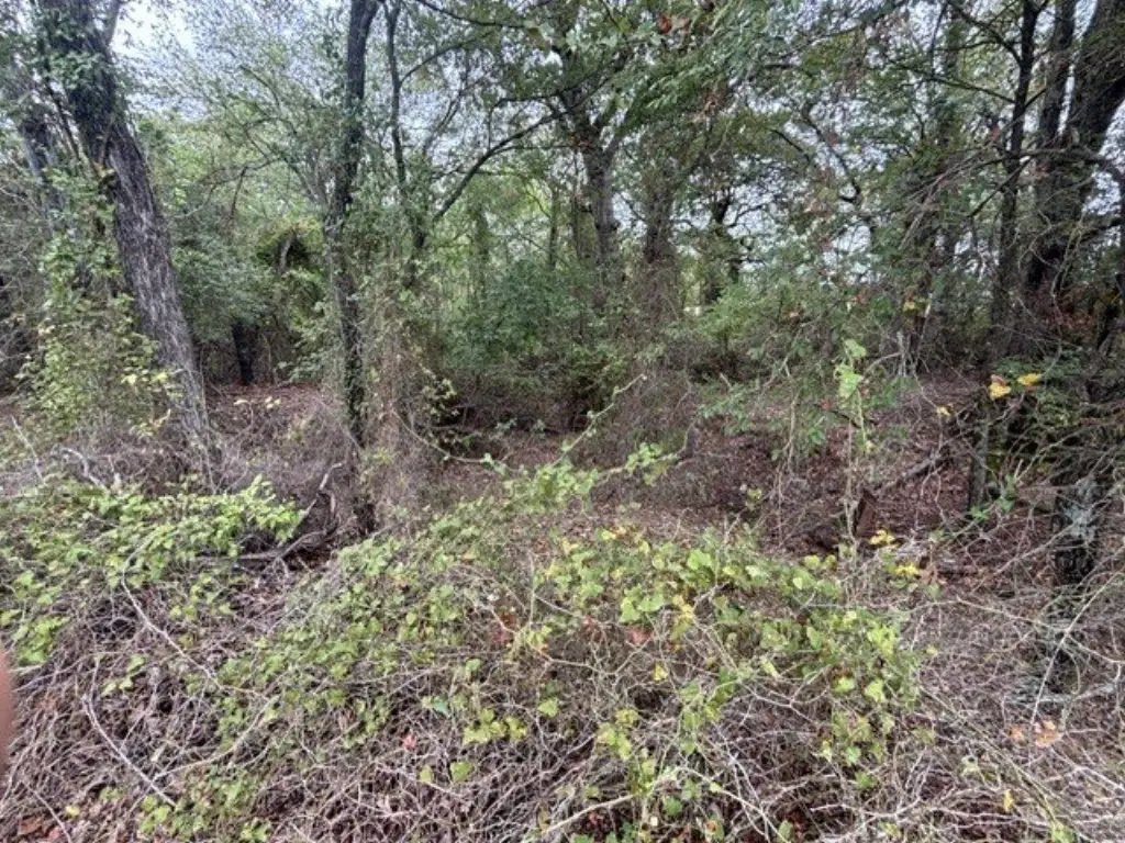 Picture 14
