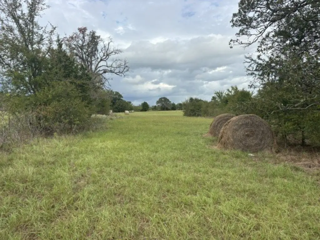Picture 8