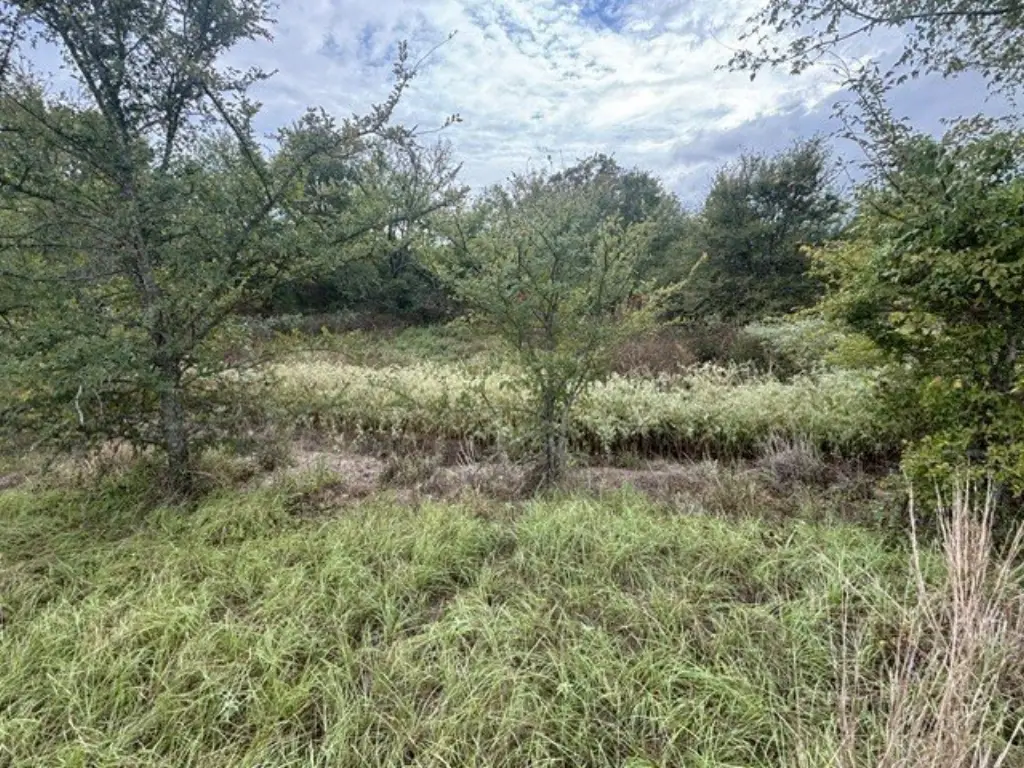 Picture 17
