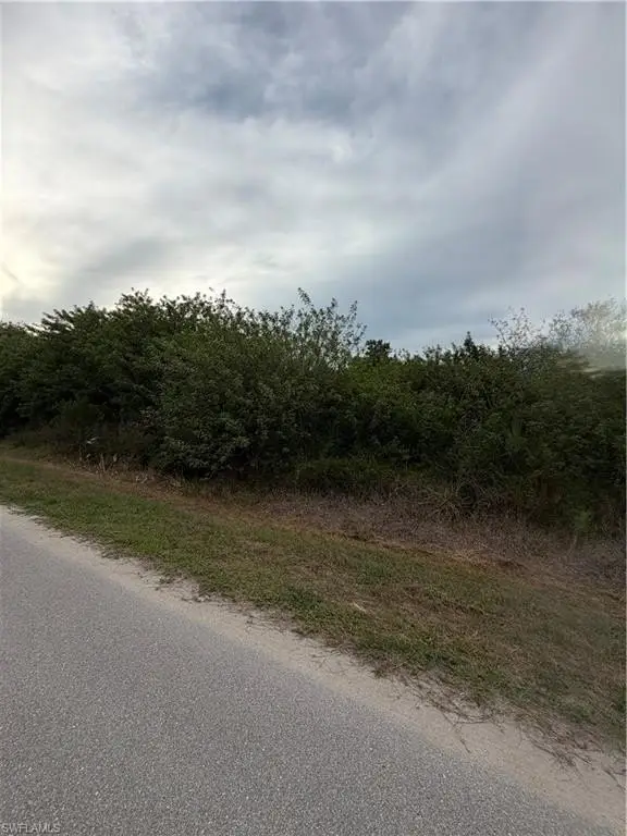 Picture 4
