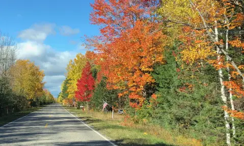 Wooded Lot Near Nature Preserve