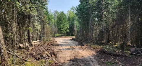 Wooded Land Near Lake Huron