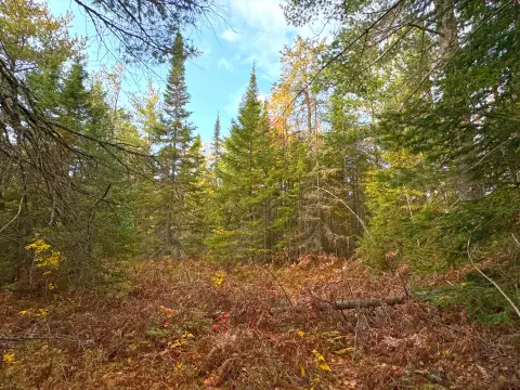 Land Near Whitefish Point Lighthouse
