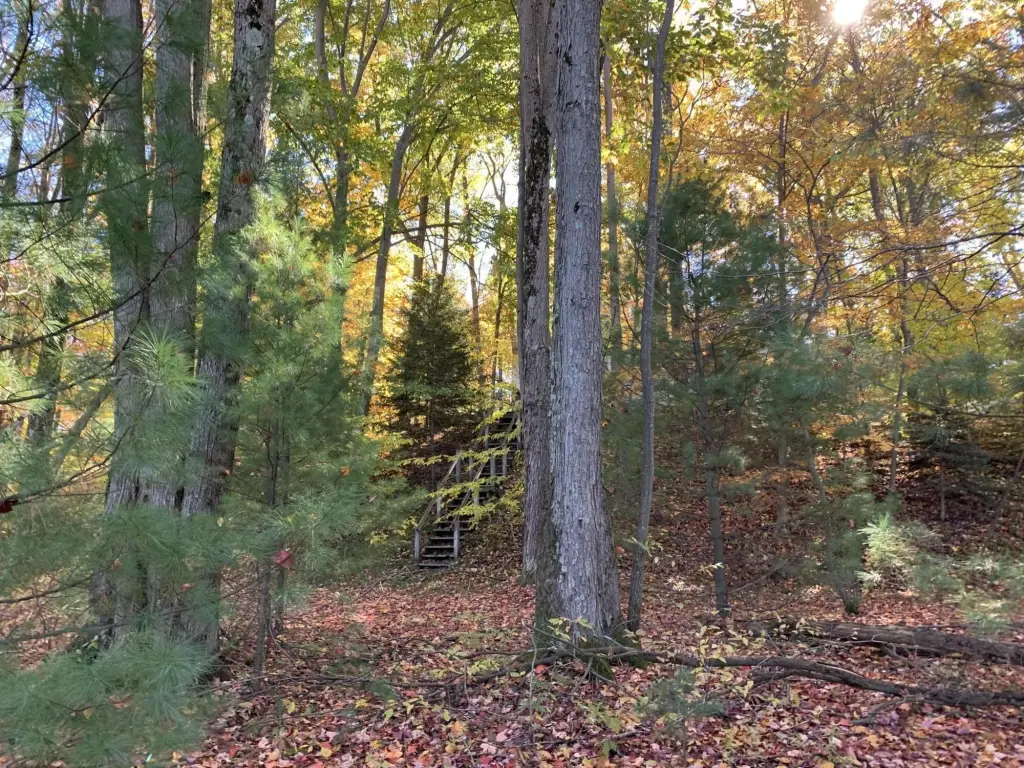 Picture 19