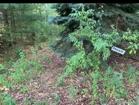 Secluded Land Near Rossel Lake