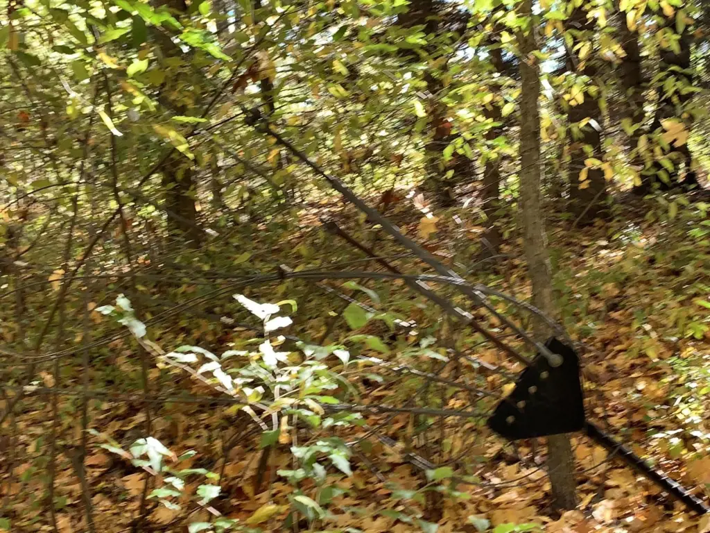 Picture 42