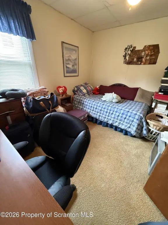 Picture 29