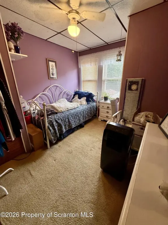 Picture 31
