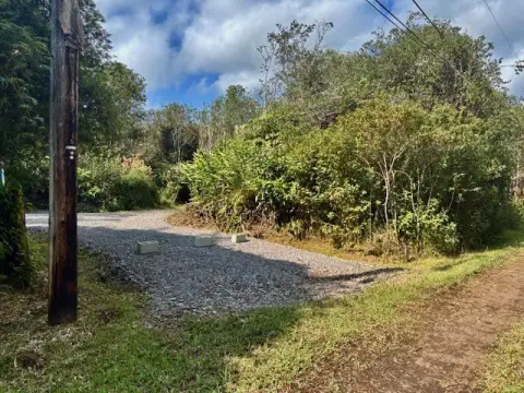 Affordable Land in Volcano, Hawaii