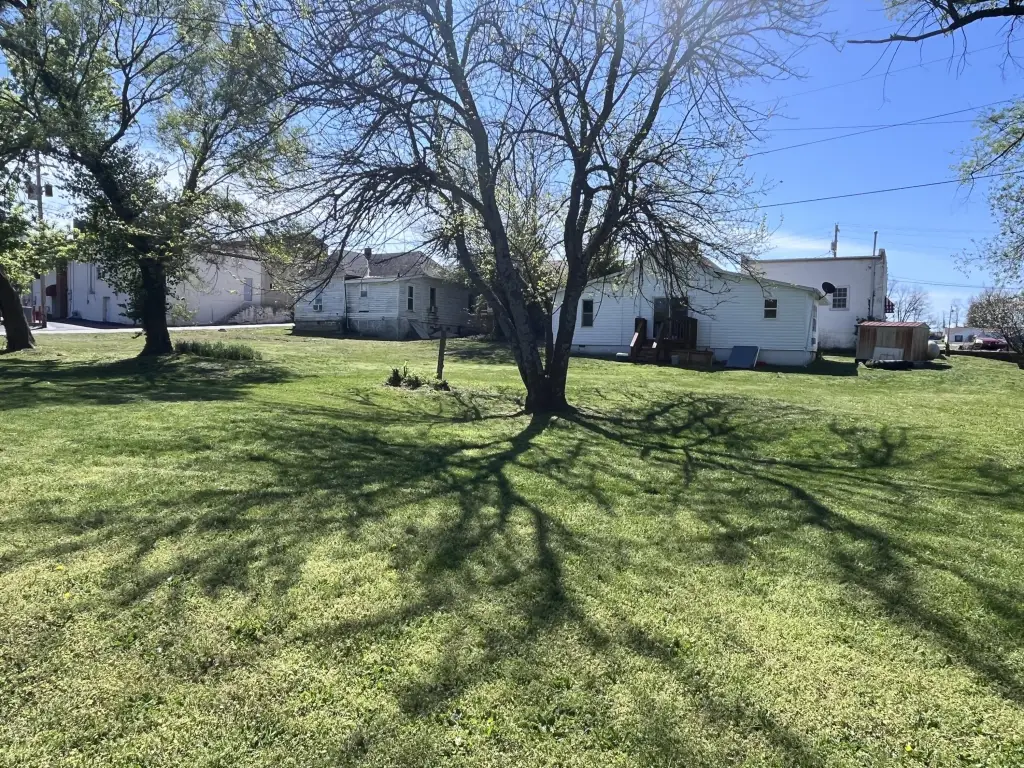 Picture 29